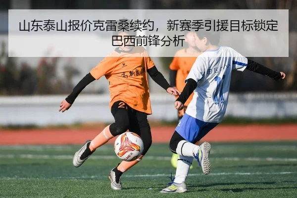 shan-dong-tai-shan-bao-jia-ke-lei-sang-xu-yue-xin-sai-ji-yin-yuan-mu-biao-suo-ding-ba-xi-qian-feng-fen-xi-2-526.jpg