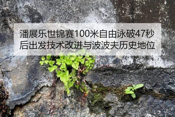 潘展乐世锦赛100米自由泳破47秒后出发技术改进与波波夫历史地位